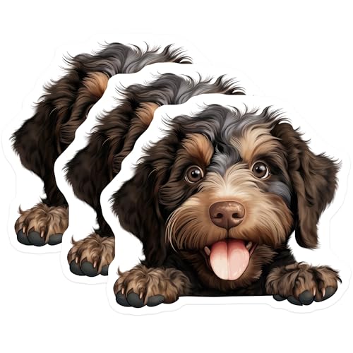 (3 Pack) Bernedoodle Decals - Cute Puppy Decals - Laptop Decal - 3 Inches On Longest Side - Easy Peel & Apply - Made in USA - 3MCS8614