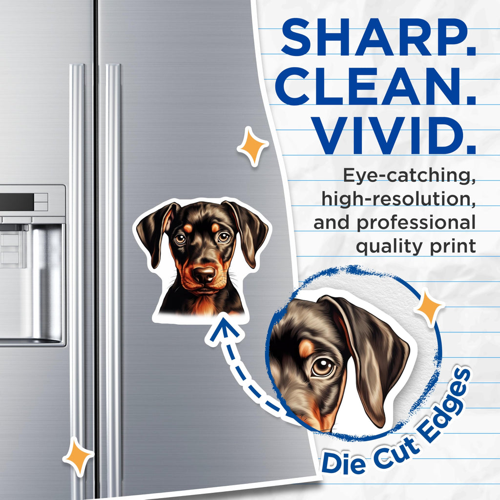 (2 Pack) Adorable Doberman Puppy Magnets - Black Tan Dog Breed Art - Cute Pet Animal Fridge Locker Home Decor Magnets - 5 Inches On Longest Side - Thick Durable Magnet - Made in USA - MAG24187