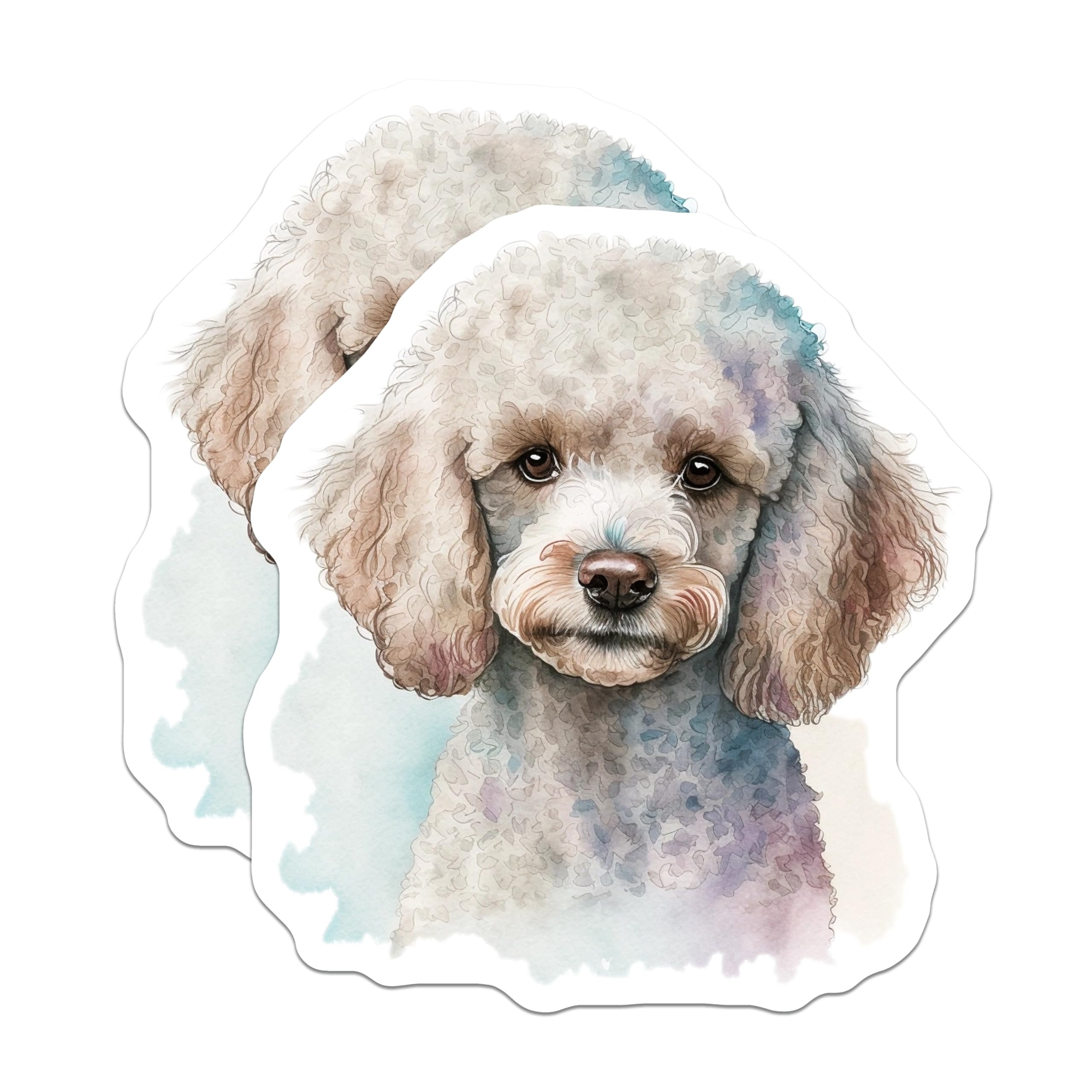 (2 Pack) Poodle Dog Magnets - Cute Animal Decor - Fridge Magnets for Poodle Lovers - 5" On Longest Side - Premium Magnet - for Cars, Refrigerators, Toolboxes, Lockers - Made in USA - MAG15742