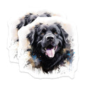 (2 Pack) Newfoundland Dog Magnets - Black Canine Watercolor Art - Happy Smiling Pet Decor - Animal Lover Fridge Locker - 5 Inches On Longest Side - Thick Durable Magnet - Made in USA - MAG24244