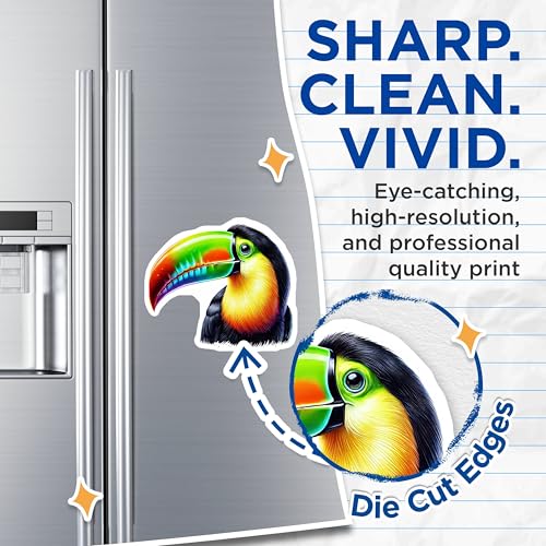 (2 Pack) Colorful Toucan Magnets - Bird Lover - Tropical Wildlife Fridge Magnets - 5" On Longest Side - for Cars, Fridges, Toolboxes - Made in USA - MAG4519