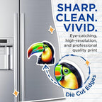 (2 Pack) Colorful Toucan Magnets - Bird Lover - Tropical Wildlife Fridge Magnets - 5" On Longest Side - for Cars, Fridges, Toolboxes - Made in USA - MAG4519