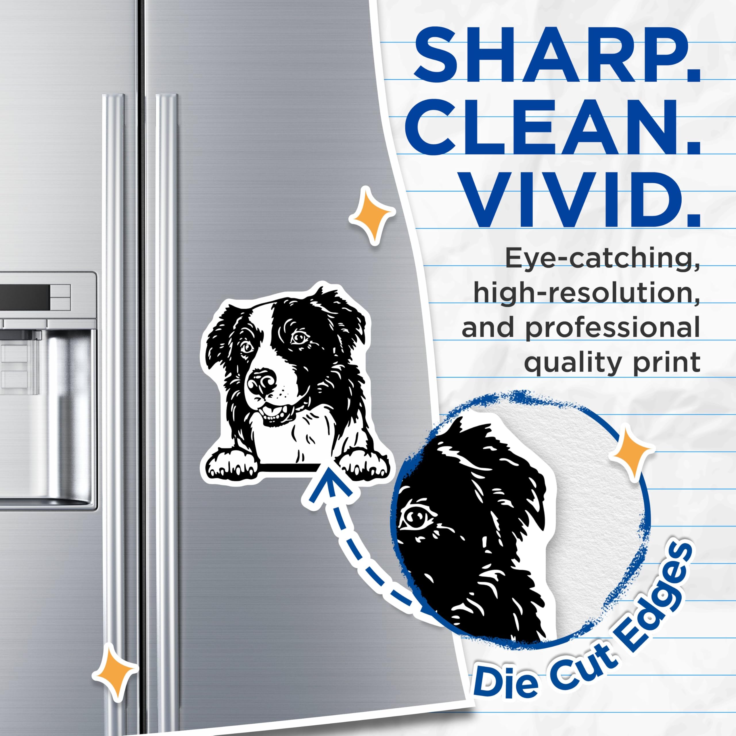 (2 Pack) Border Collie Dog Magnets - Dog Lover - Pet Themed Fridge Magnets - 5" On Longest Side - for Cars, Fridges, Toolboxes - Made in USA - MAG4046