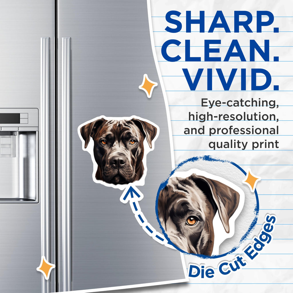 (2 Pack) Cane Corso Magnets - Powerful Dog Lover Decor - Pet Owner Kitchen Art - 5 Inches On Longest Side - Thick Durable Magnet - Made in USA - MAG24952