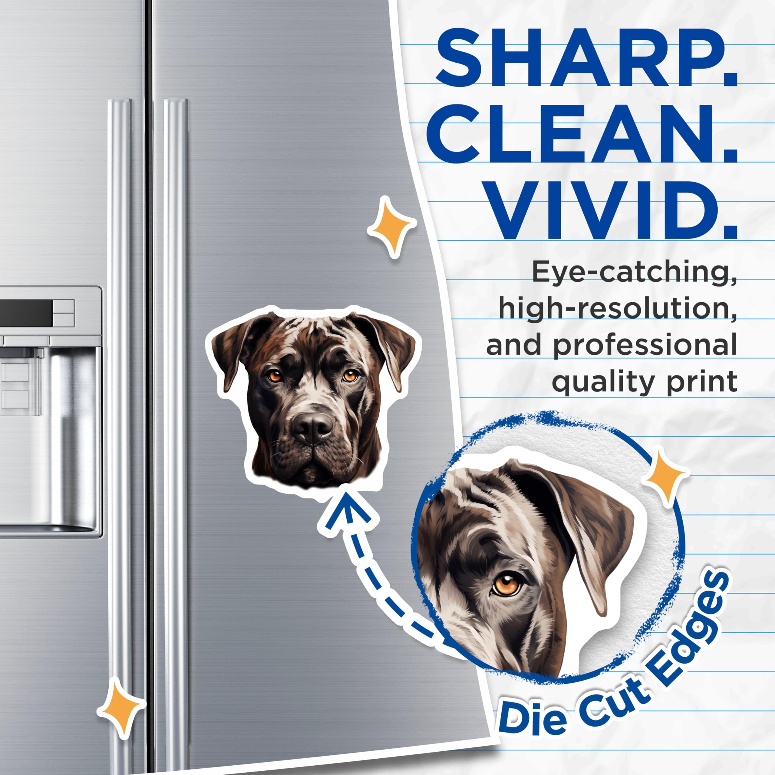 (2 Pack) Cane Corso Magnets - Powerful Dog Lover Decor - Pet Owner Kitchen Art - 5 Inches On Longest Side - Thick Durable Magnet - Made in USA - MAG24952