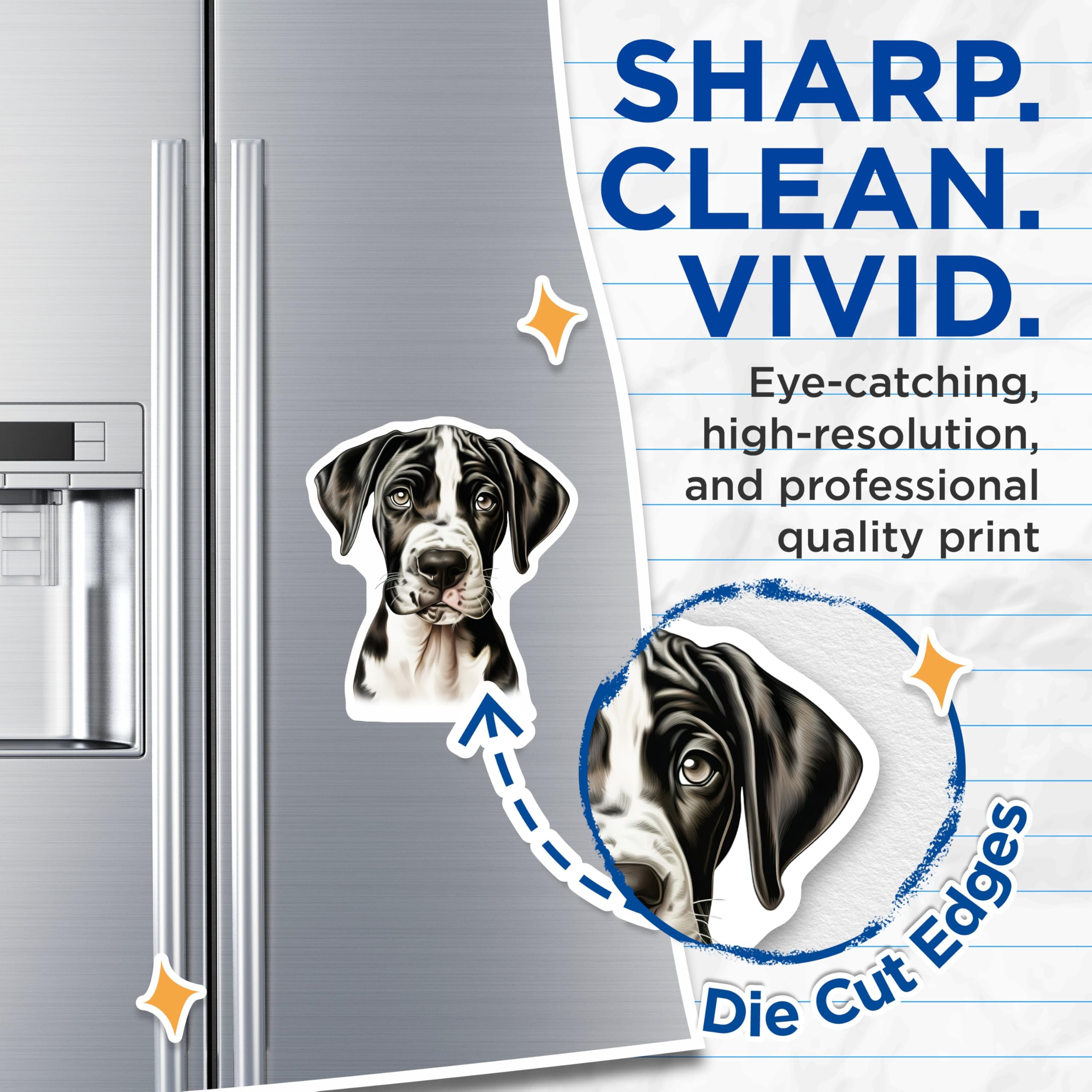 (2 Pack) Harlequin Great Dane Magnets - Cute Puppy Dog Lover - Pet Parent Fridge Decor - 5 Inches On Longest Side - Thick Durable Magnet - Made in USA - MAG29189