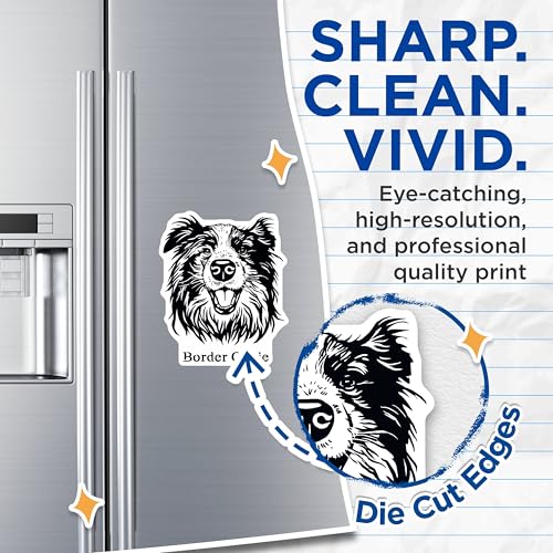 (2 Pack) Border Collie Magnets - Dog Lover Magnets - Pet Magnets - 5" On Longest Side - for Cars, Fridges, Toolboxes - Made in USA - MAG4023