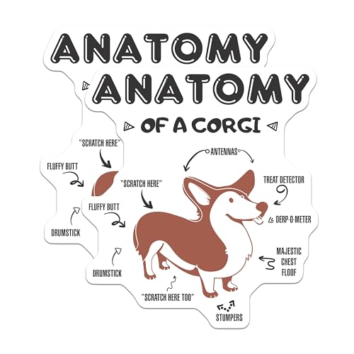 (2 Pack) Anatomy of A Corgi Magnets Magnets - Funny Dog Magnet - Dog Lover Decor for Home - 5" On Longest Side - Made in USA - Sticks to Refrigerators & Metal Surfaces - MAG8512