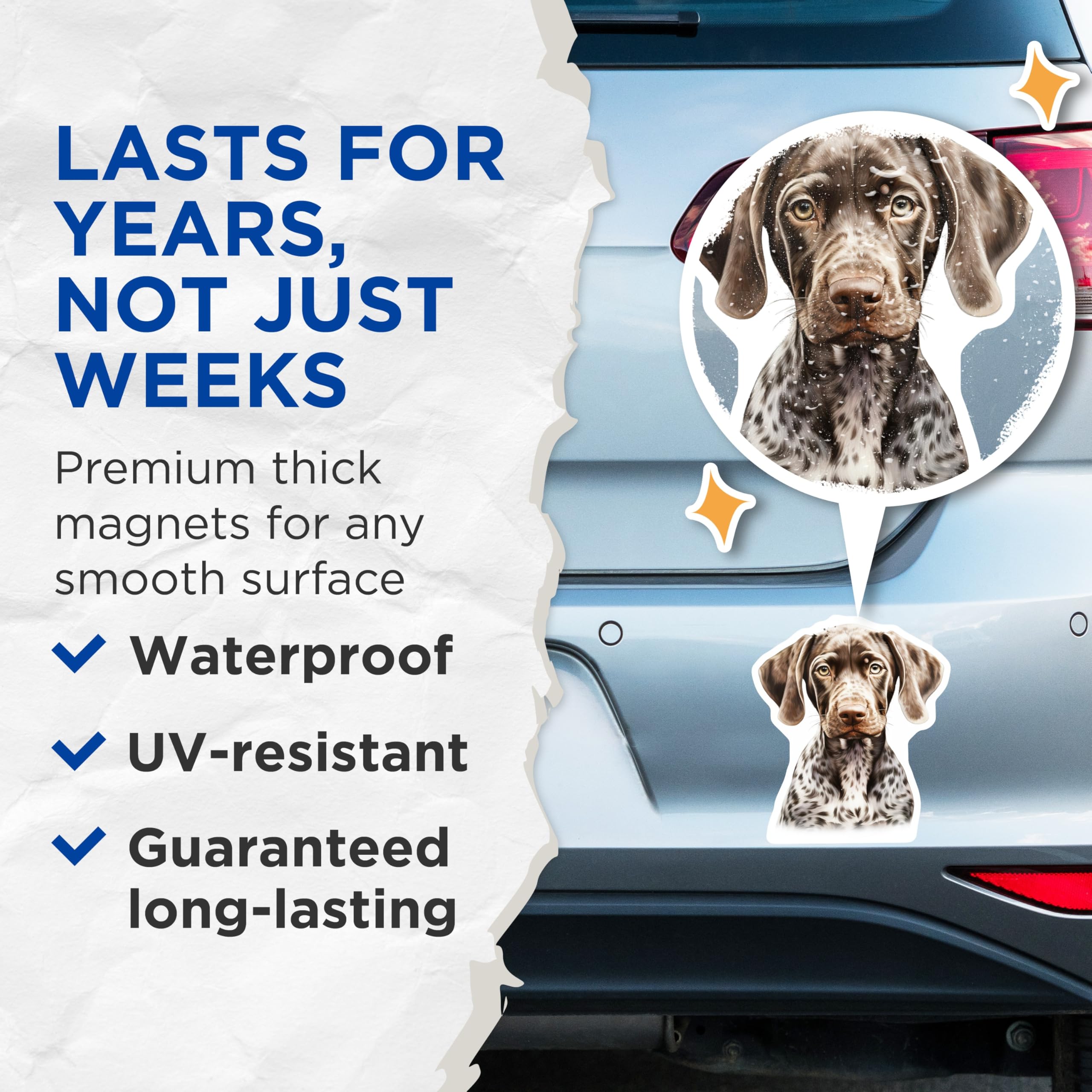 (2 Pack) German Shorthaired Pointer Magnets - GSP Dog Art - Pet Owner Refrigerator Decor - 5 Inches On Longest Side - Thick Durable Magnet - Made in USA - MAG30640