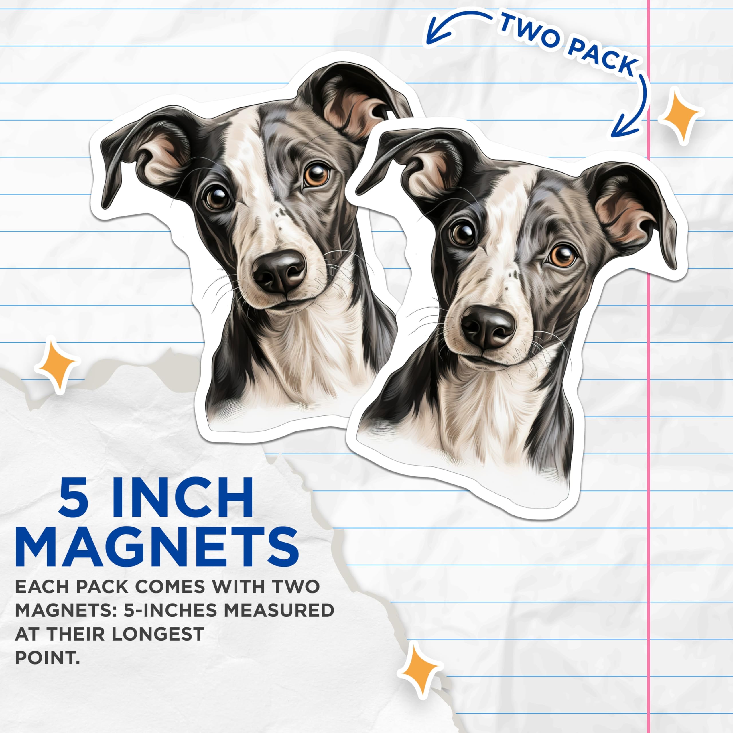 (2 Pack) Whippet Dog Portrait Magnets - Sighthound Pet Lover Decor - Animal Art Fridge Accessory - 5 Inches On Longest Side - Thick Durable Magnet - Made in USA - MAG28490