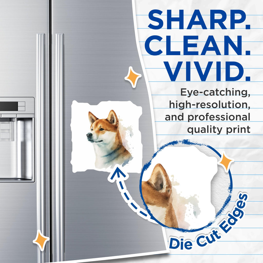(2 Pack) Shiba Inu Magnets - Dog Lover Gifts - Watercolor Pet Art - 5" On Longest Side - Premium Magnet - for Cars, Refrigerators, Toolboxes, Lockers - Made in USA - MAG14480