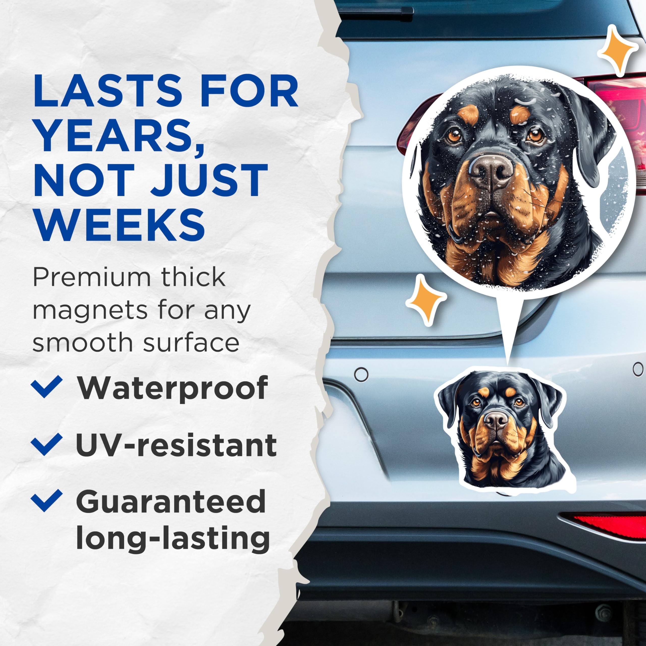 (2 Pack) Rottweiler Dog Magnets - Loyal Dog Breed Art - Pet Owner Refrigerator Decor - 5 Inches On Longest Side - Thick Durable Magnet - Made in USA - MAG27134