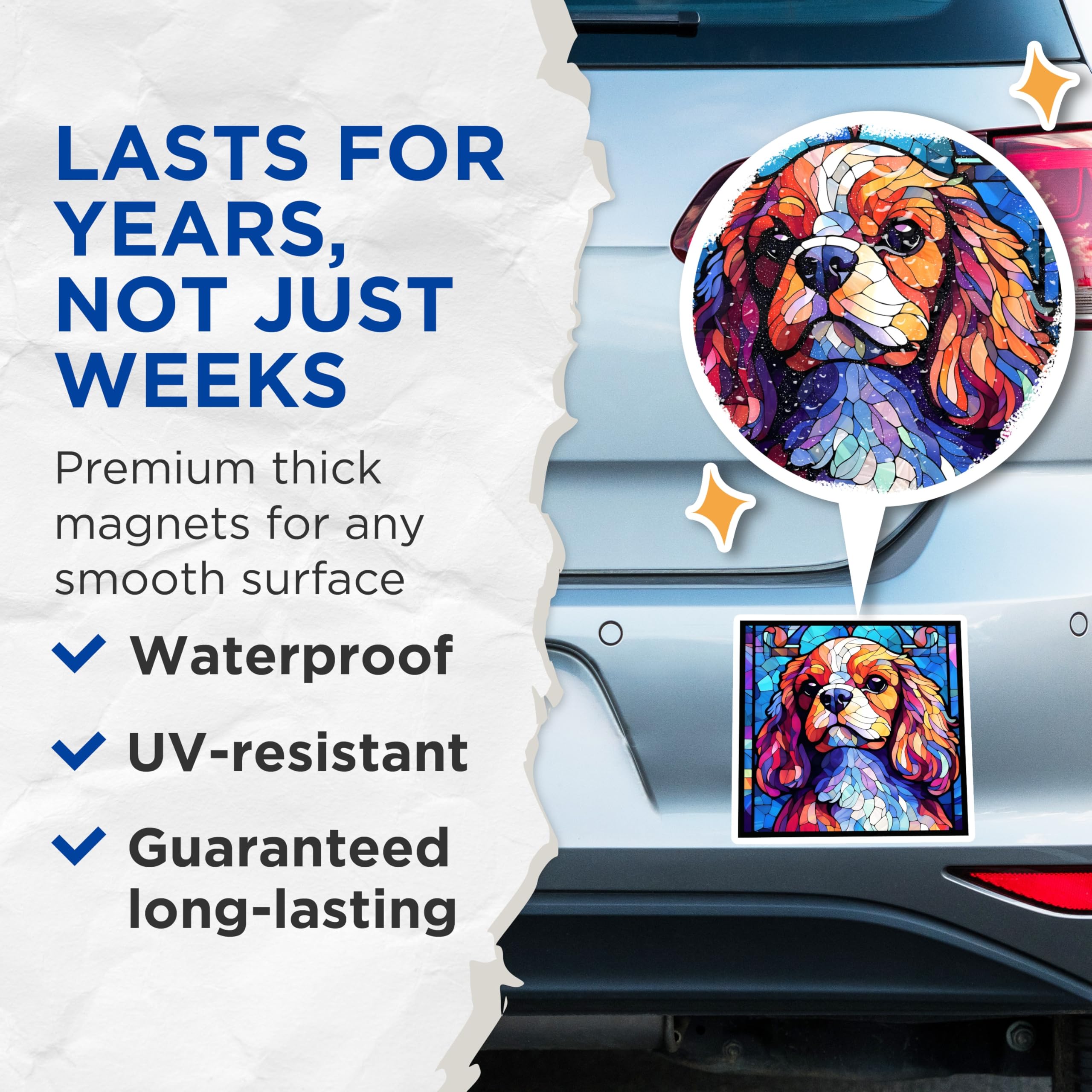 (2 Pack) Cavalier King Charles Spaniel Magnets - Stained Glass Dog - Fridge Magnets - 5" On Longest Side - Premium Magnet - for Cars, Refrigerators, Toolboxes, Lockers - Made in USA - MAG16366