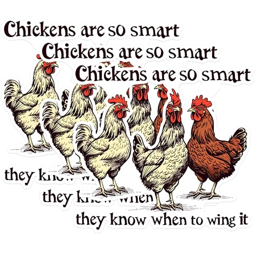 (3 Pack) Chicken Decals - Funny Chicken Saying - Laptop Decal - 3 Inches On Longest Side - Easy Peel & Apply - Made in USA - 3MCS1450