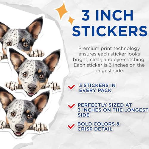 (3 Pack) Australian Cattle Dog Decals - Heeler Puppy - Dog Breed Stickers - 3 Inches On Longest Side - Easy Peel & Apply - Made in USA - 3MCS8602