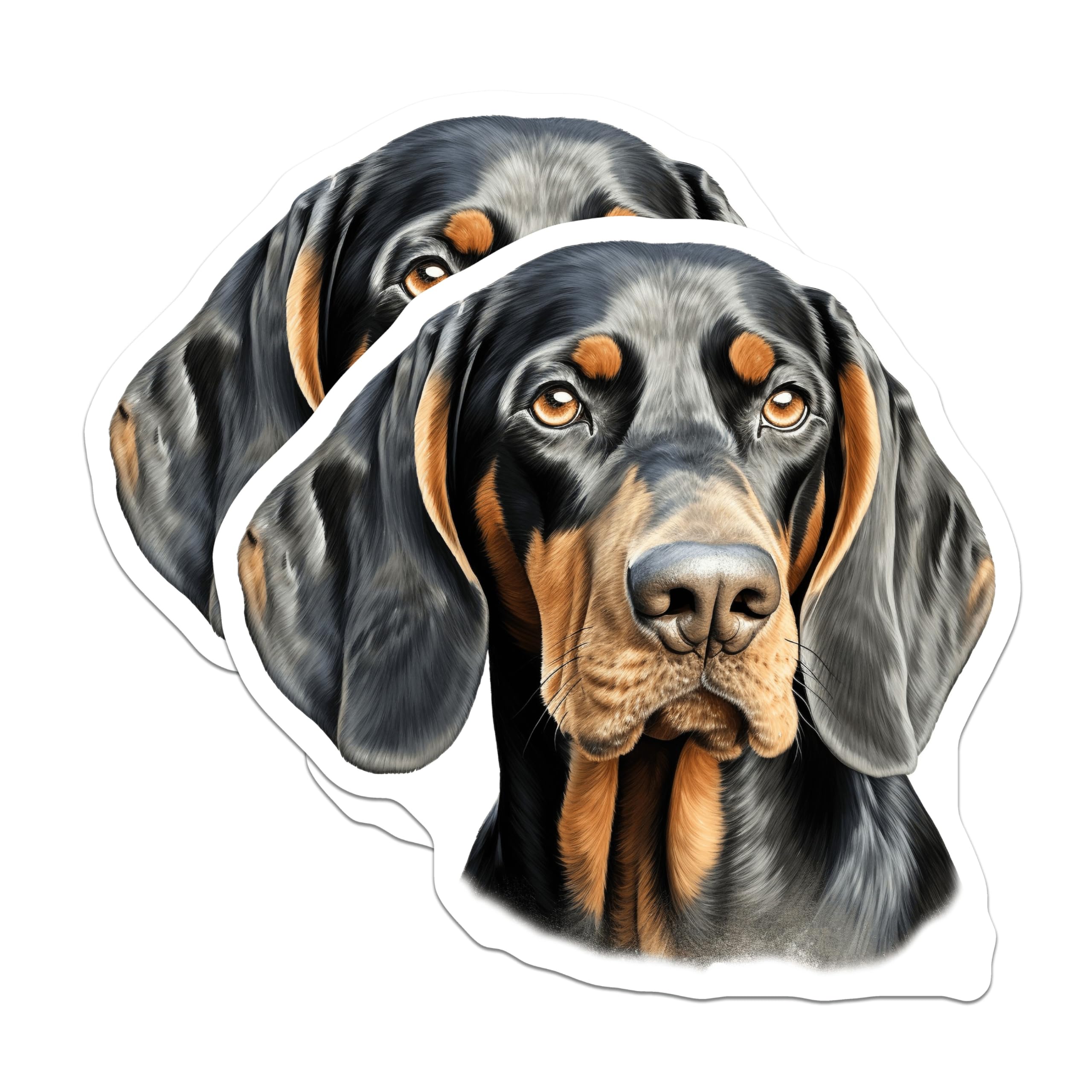 (2 Pack) Black Tan Coonhound Magnets - Hound Dog Lovers - Pet Owner Decor - 5 Inches On Longest Side - Thick Durable Magnet - Made in USA - MAG30525