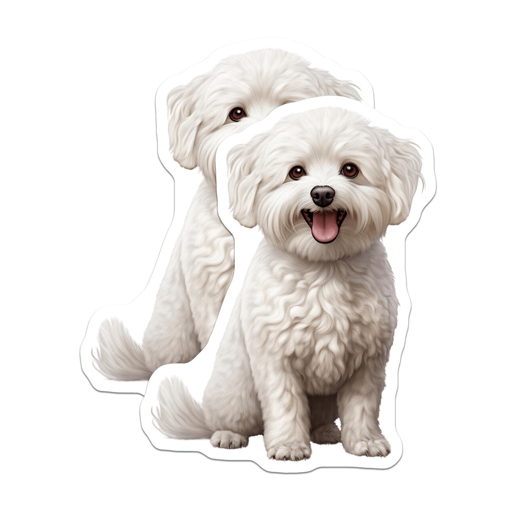 (2 Pack) White Fluffy Dog Magnets - Cute Bichon Frise Maltese Pet Accessory - Animal Lover Refrigerator Decal - 5 Inches On Longest Side - Thick Durable Magnet - Made in USA - MAG29091