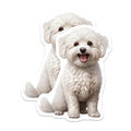 (2 Pack) White Fluffy Dog Magnets - Cute Bichon Frise Maltese Pet Accessory - Animal Lover Refrigerator Decal - 5 Inches On Longest Side - Thick Durable Magnet - Made in USA - MAG29091