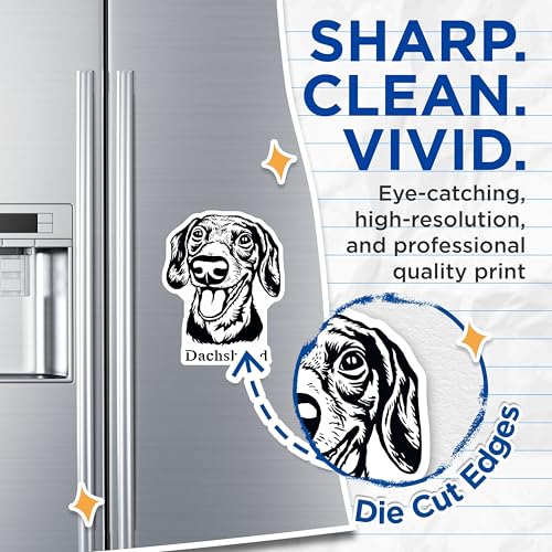 (2 Pack) Dachshund Magnets - Dog Lover - Refrigerator ation - Animal Print Magnets - Cute Pet Magnets for Fridge - 5" On Longest Side - for Cars, Fridges, Toolboxes - Made in USA - MAG4021