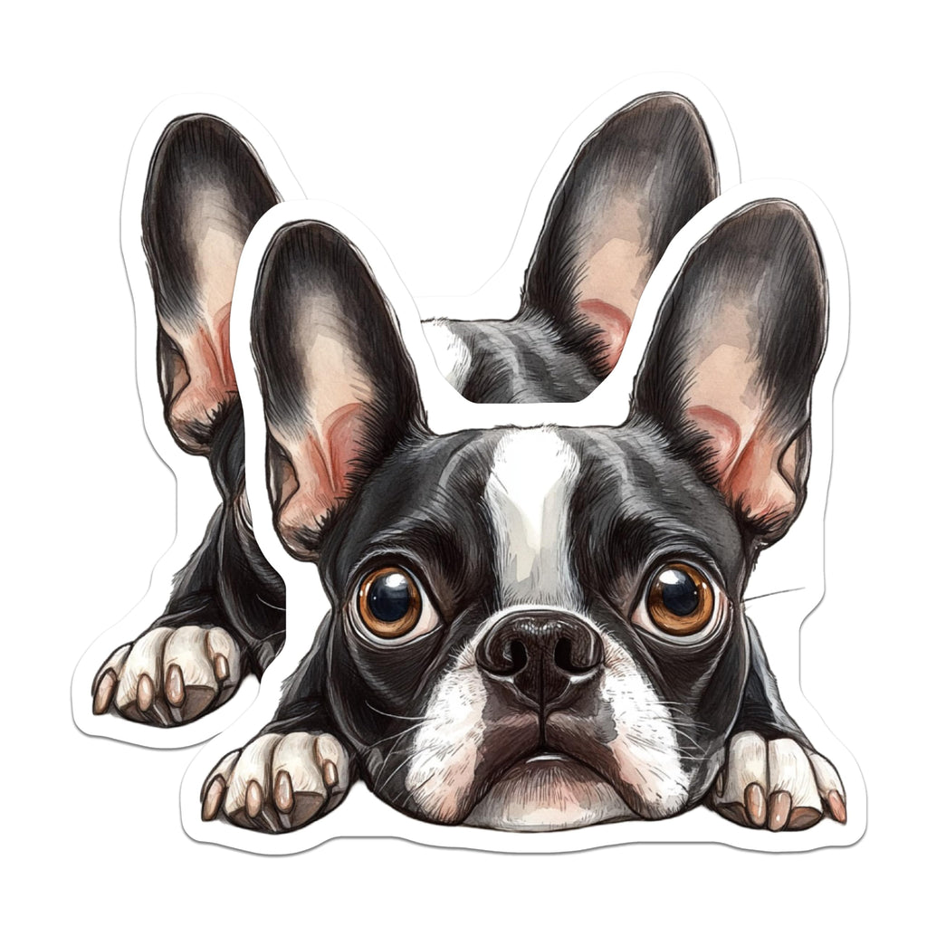 (2 Pack) Boston Terrier Magnets - Cute Dog Fridge Magnets - Pet Lover Decor - 5" On Longest Side - Premium Magnet - for Cars, Refrigerators, Toolboxes, Lockers - Made in USA - MAG16211