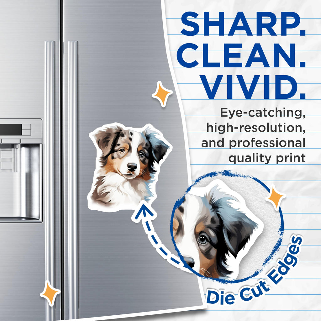 (2 Pack) Australian Shepherd Magnets - Aussie Dog Fridge Decor - Cute Puppy Pet Lover Accessory - 5 Inches On Longest Side - Thick Durable Magnet - Made in USA - MAG29935