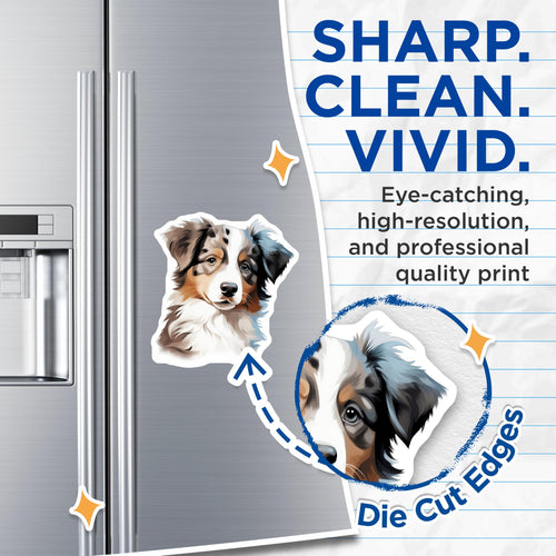 (2 Pack) Australian Shepherd Magnets - Aussie Dog Fridge Decor - Cute Puppy Pet Lover Accessory - 5 Inches On Longest Side - Thick Durable Magnet - Made in USA - MAG29935