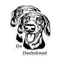 (2 Pack) Dachshund Magnets - Dog Lover - Refrigerator ation - Animal Print Magnets - Cute Pet Magnets for Fridge - 5" On Longest Side - for Cars, Fridges, Toolboxes - Made in USA - MAG4021