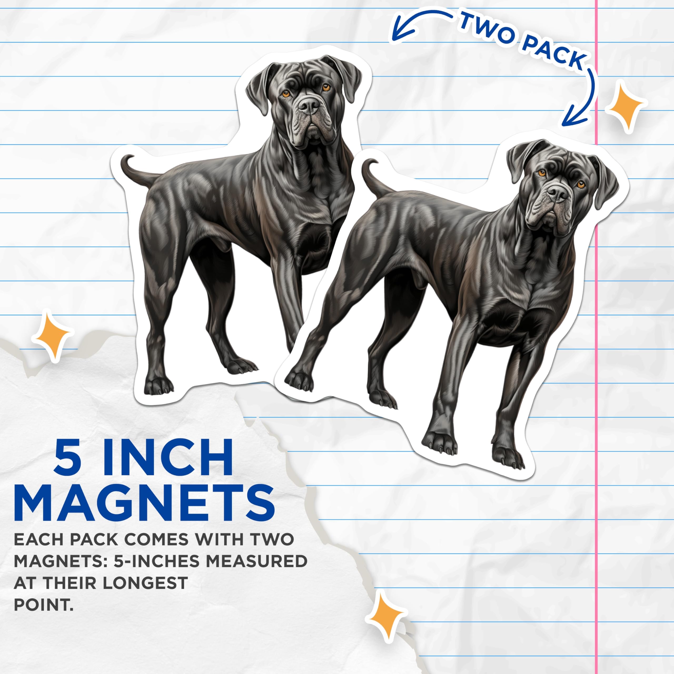 (2 Pack) Cane Corso Magnets - Powerful Dog Breed - Pet Lover Accessory - 5 Inches On Longest Side - Thick Durable Magnet - Made in USA - MAG27885