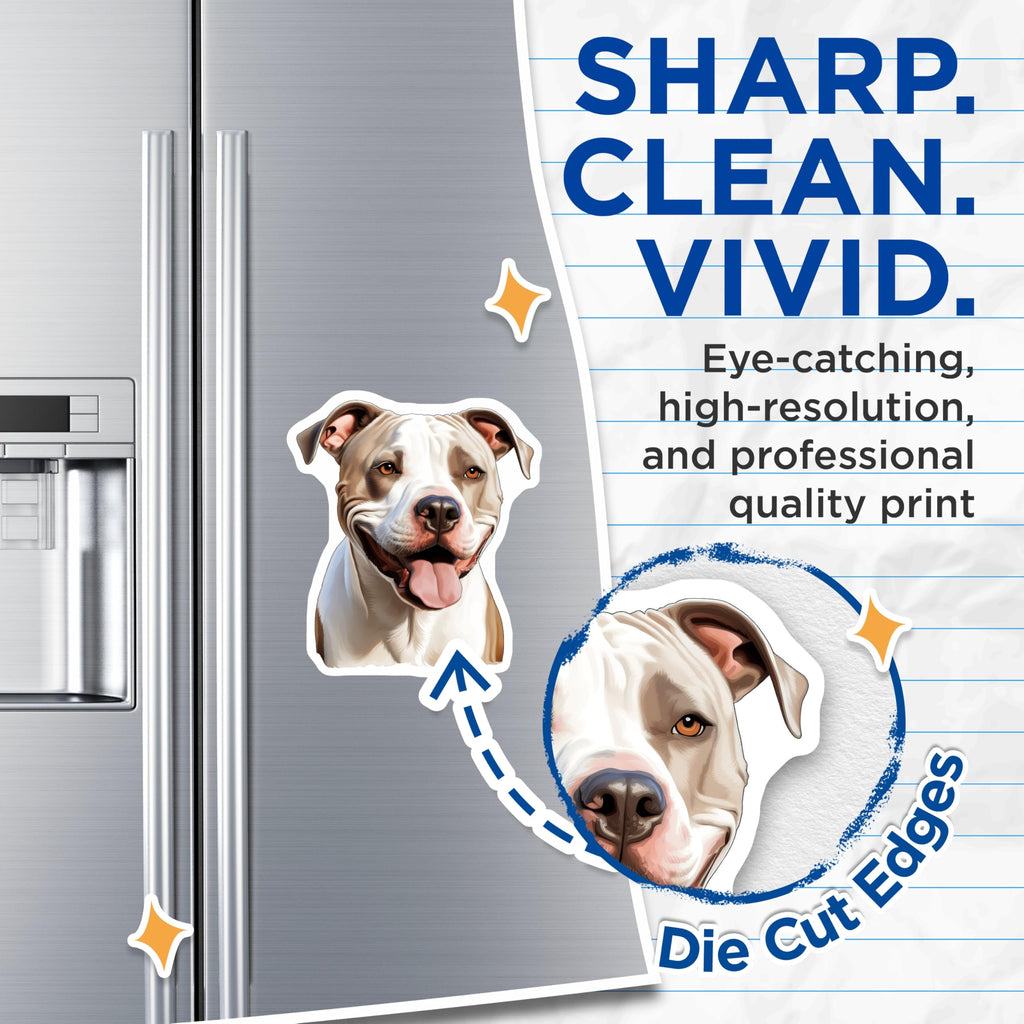(2 Pack) Pitbull Dog Magnets - Happy Smiling Pitbull Portrait - Dog Lover Car Accessory - Pet Parent Refrigerator Decal - 5 Inches On Longest Side - Thick Durable Magnet - Made in USA - MAG30673