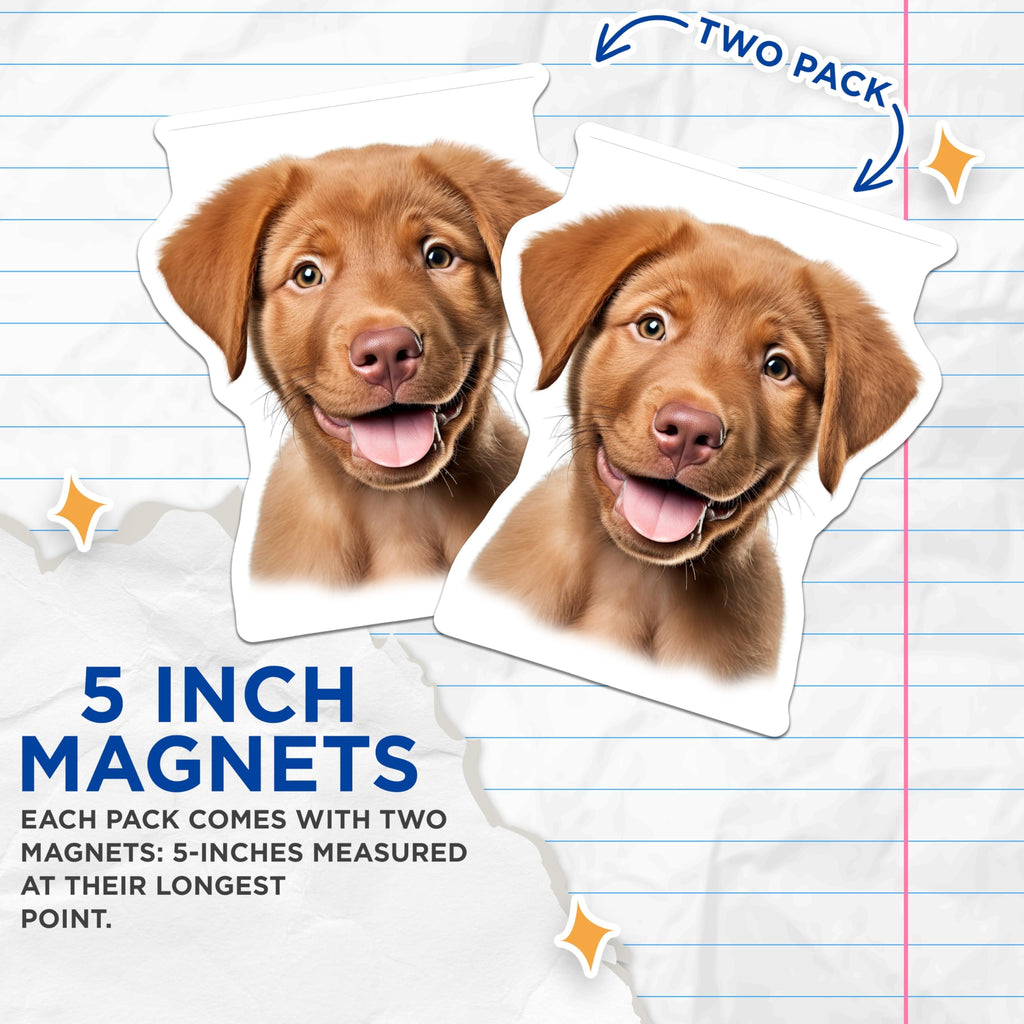 (2 Pack) Cute Puppy Magnets - Happy Dog Lover Decor - Labrador Retriever Pet Owner Display - 5 Inches On Longest Side - Thick Durable Magnet - Made in USA - MAG29806