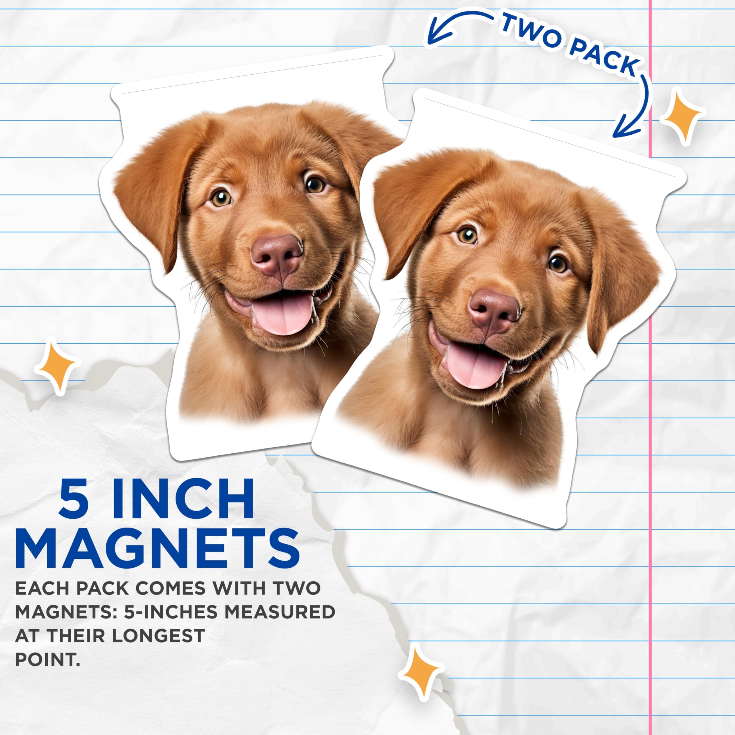 (2 Pack) Cute Puppy Magnets - Happy Dog Lover Decor - Labrador Retriever Pet Owner Display - 5 Inches On Longest Side - Thick Durable Magnet - Made in USA - MAG29806