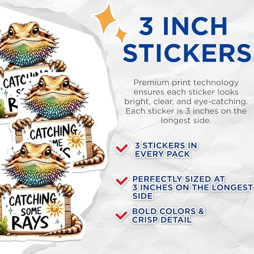(3 Pack) Bearded Dragon Decals - Catching Some Rays - Cute Lizard Art - 3 Inches On Longest Side - Easy Peel & Apply - Made in USA - 3MCS2508