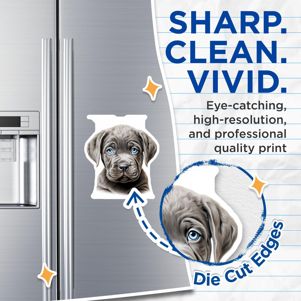 (2 Pack) Weimaraner Puppy Magnets - Adorable Blue Eyed Dog Lover Decor - Pet Parent Home Accents - Cute Animal Fridge Magnet - 5 Inches On Longest Side - Thick Durable Magnet - Made in USA - MAG30705