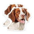 (2 Pack) Brittany Spaniel Magnets - Dog Art Illustration - Pet Lover Decor Kitchen Refrigerator - 5 Inches On Longest Side - Thick Durable Magnet - Made in USA - MAG24596