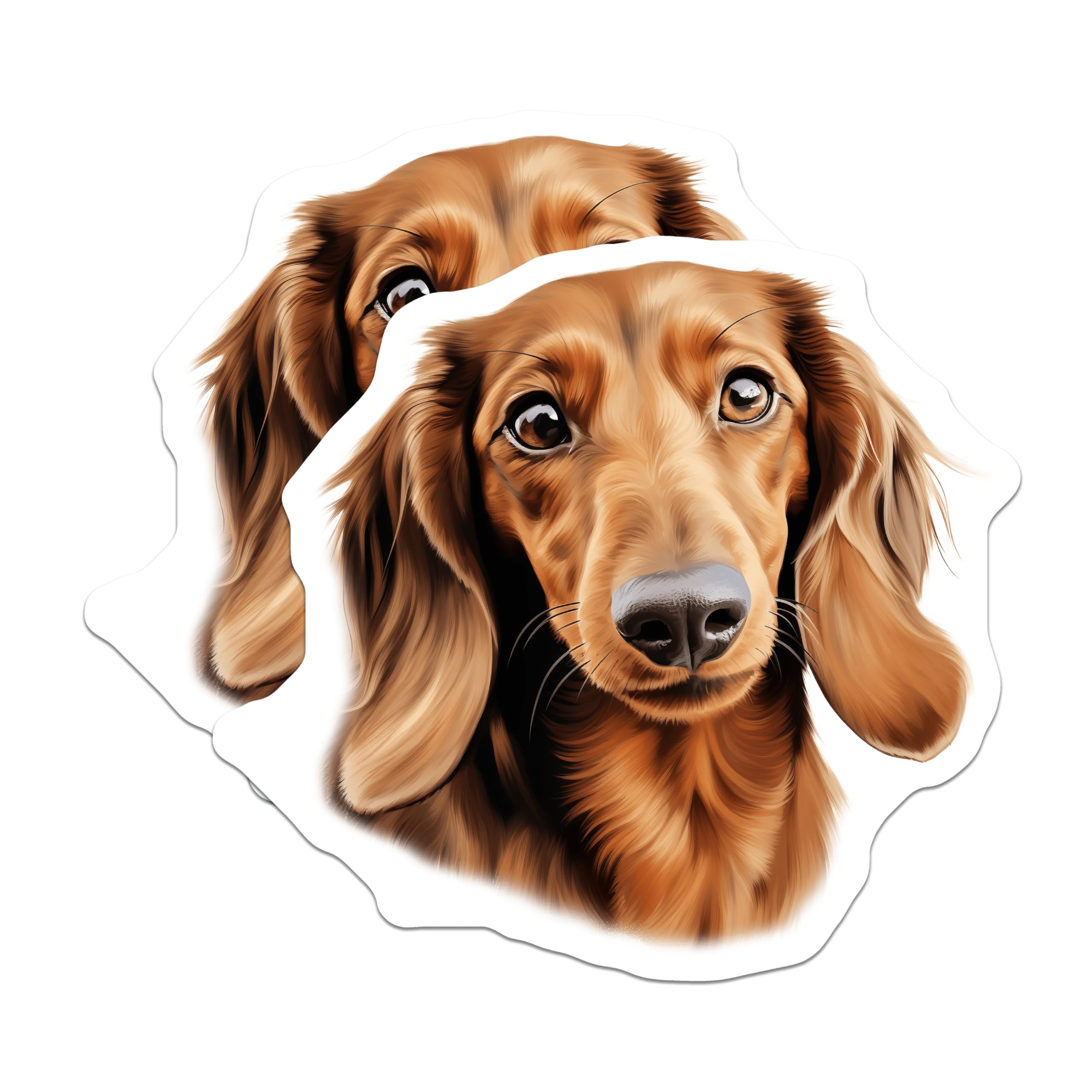 (2 Pack) Long-Haired Dachshund Magnets - Realistic Wiener Dog Art - Pet Owner Fridge Decor - Animal Themed Kitchen Accessory - 5 Inches On Longest Side - Thick Durable Magnet - Made in USA - MAG24920