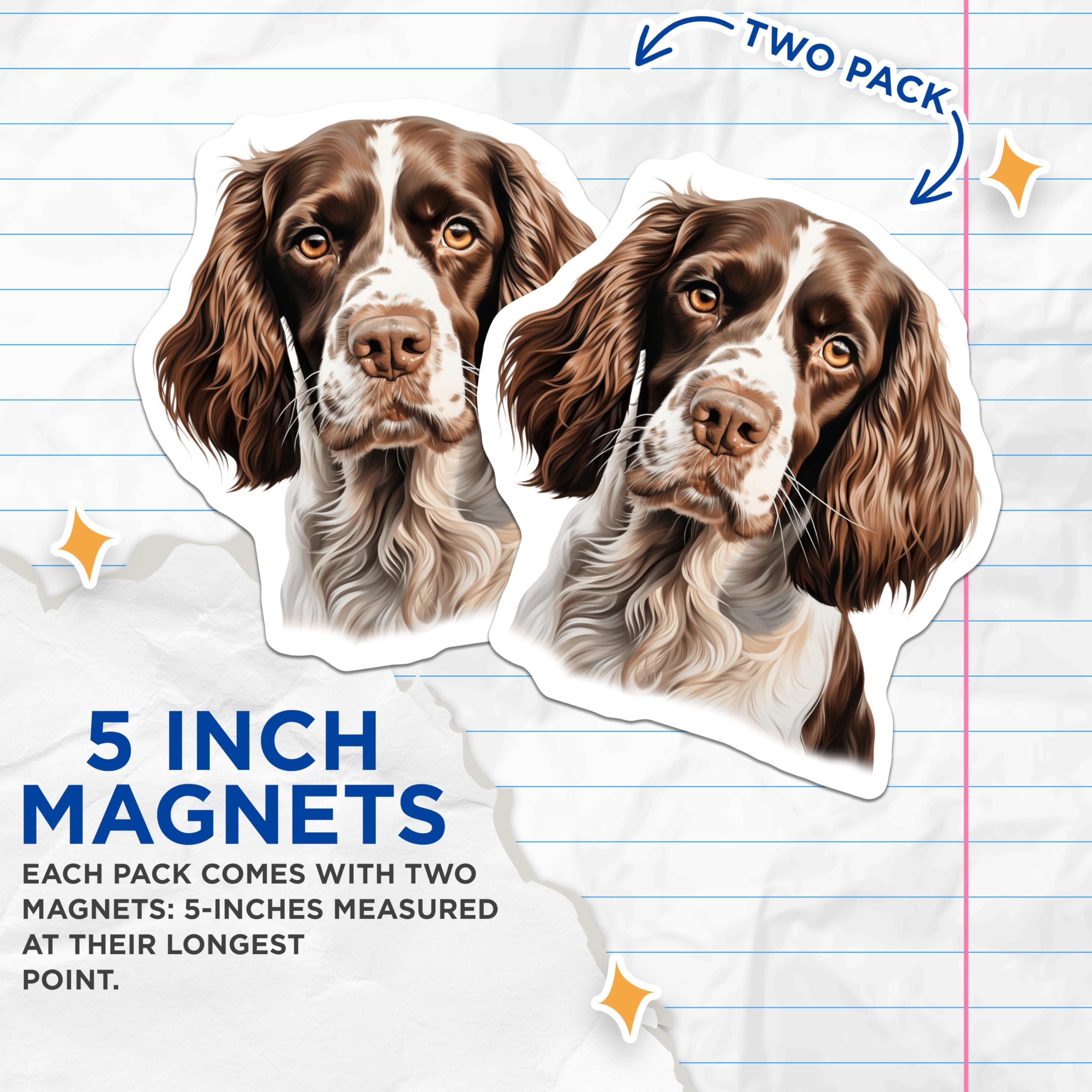 (2 Pack) Springer Spaniel Dog Magnets - Realistic Pet Lover Decor - Brown White Spaniel Art - 5 Inches On Longest Side - Thick Durable Magnet - Made in USA - MAG25799