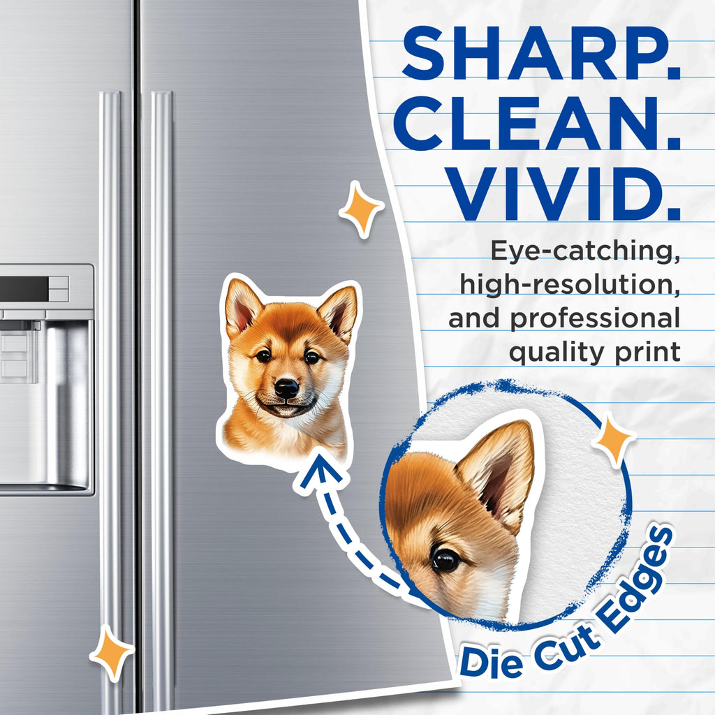 (2 Pack) Shiba Inu Puppy Magnets - Cute Dog Lover - Pet Parent Fridge Decor - 5 Inches On Longest Side - Thick Durable Magnet - Made in USA - MAG27552