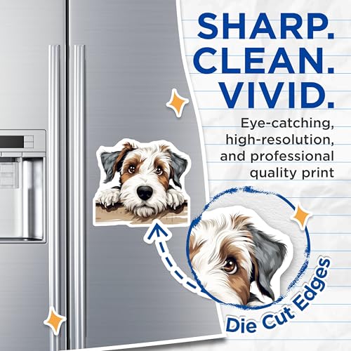 (2 Pack) Adorable Dog Fridge Decor Magnet - 5" On Longest Side - Sticks to Smooth Flat Surfaces - Made in USA - MAG10273