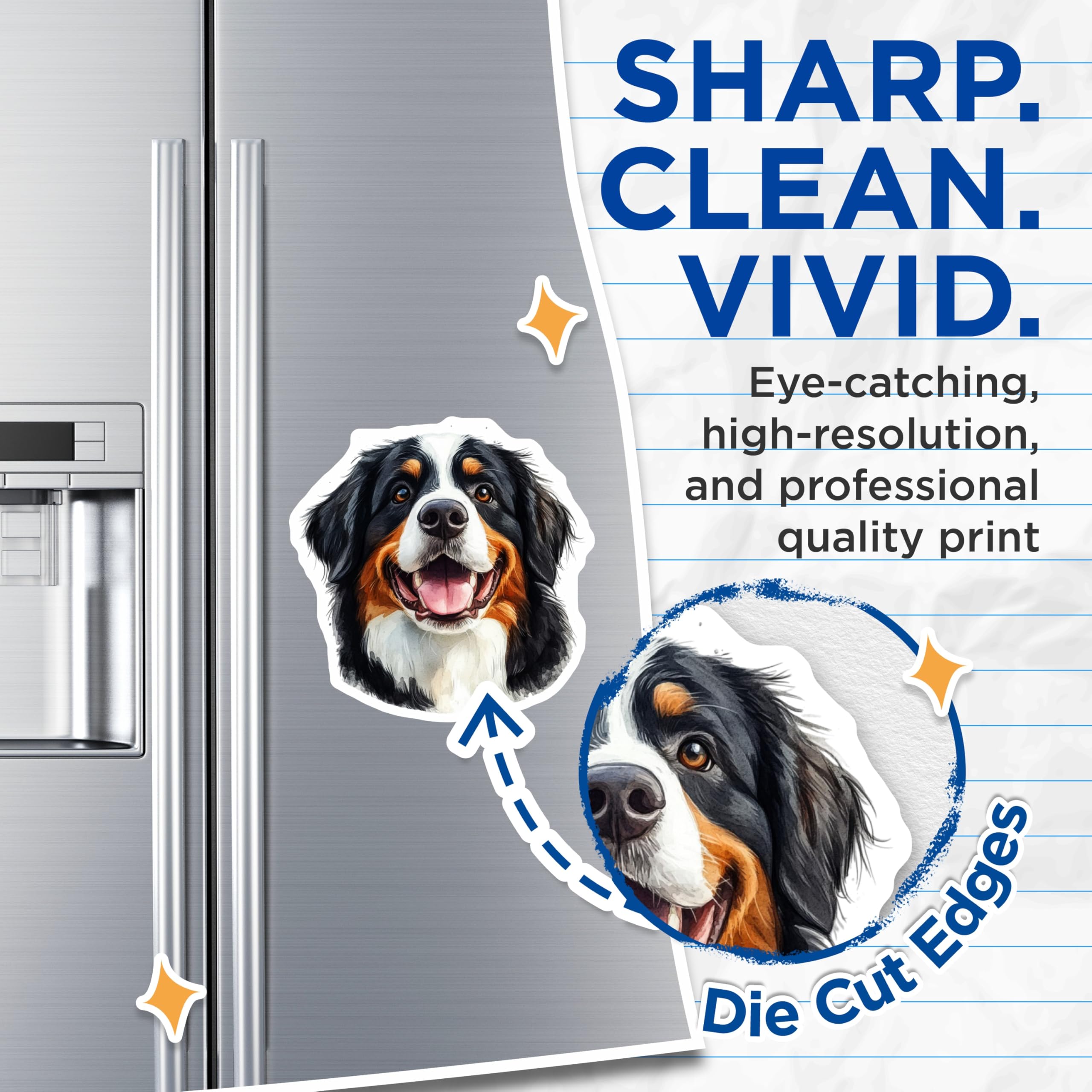 (2 Pack) Bernese Mountain Dog Magnets - Berner Dog Mom - Dog Lover Refrigerator Magnets - 5" On Longest Side - Premium Magnet - for Cars, Refrigerators, Toolboxes, Lockers - Made in USA - MAG14046