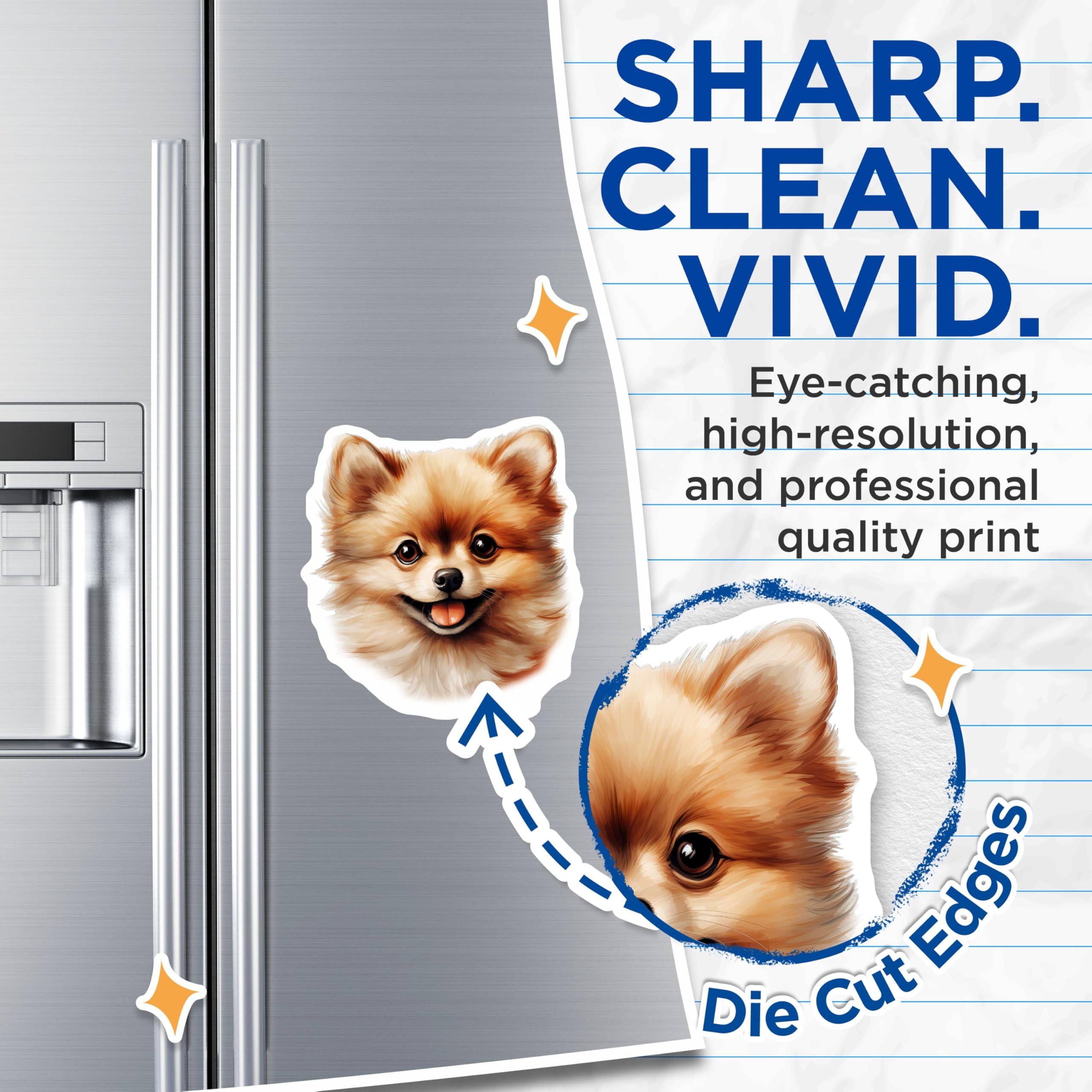 (2 Pack) Cute Pomeranian Dog Magnets - Fluffy Puppy Refrigerator Decor - Pet Parent Accessory for Dog Lovers - 5 Inches On Longest Side - Thick Durable Magnet - Made in USA - MAG30879
