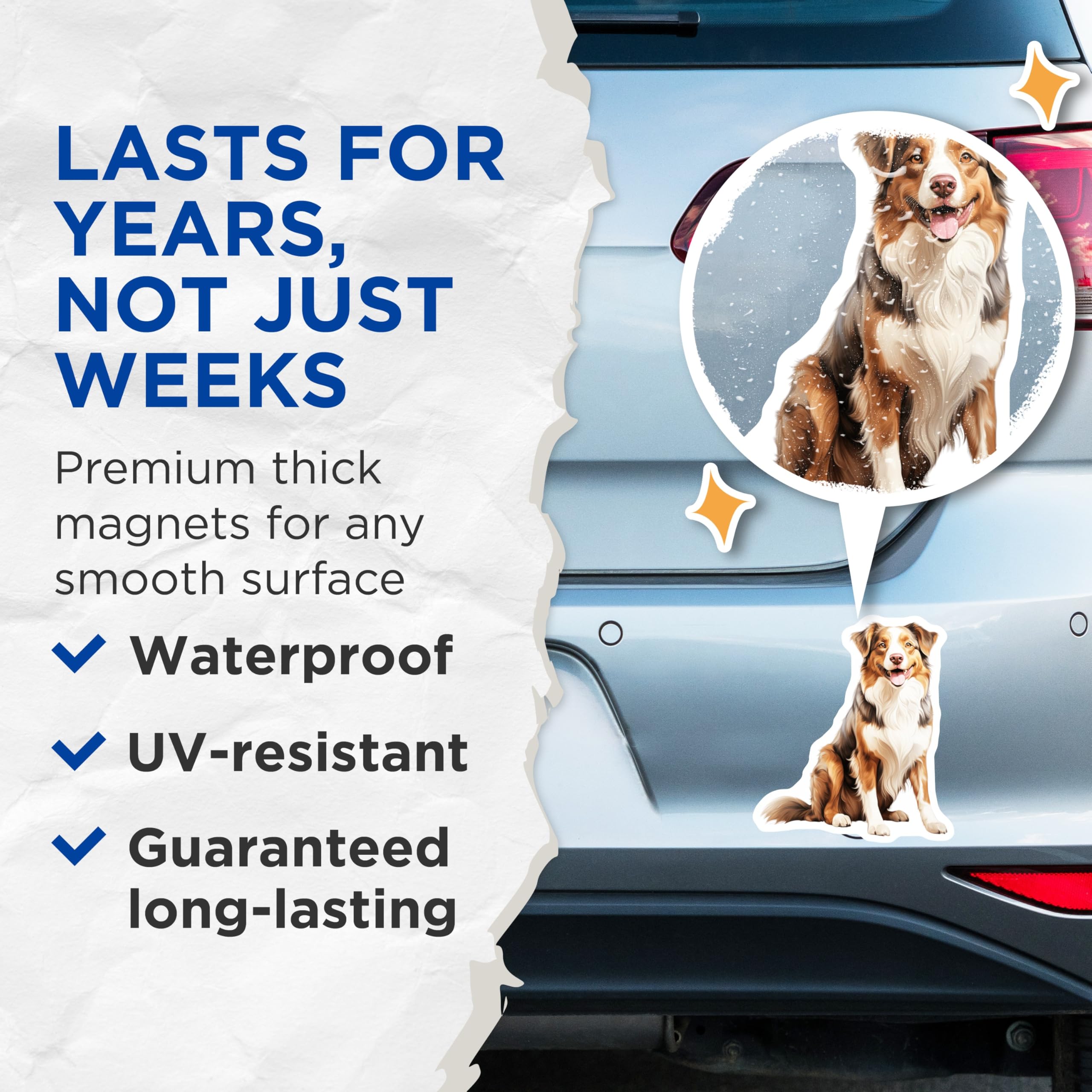 (2 Pack) Australian Shepherd Magnets - Red Merle Aussie Dog - Pet Lover Refrigerator Decor - 5 Inches On Longest Side - Thick Durable Magnet - Made in USA - MAG26555