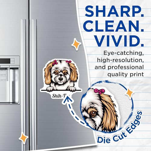 (2 Pack) Shih Tzu Magnets - Cute Dog Breed Fridge Magnets - Ative Fridge Magnets - 5" On Longest Side - for Cars, Fridges, Toolboxes - Made in USA - MAG4232
