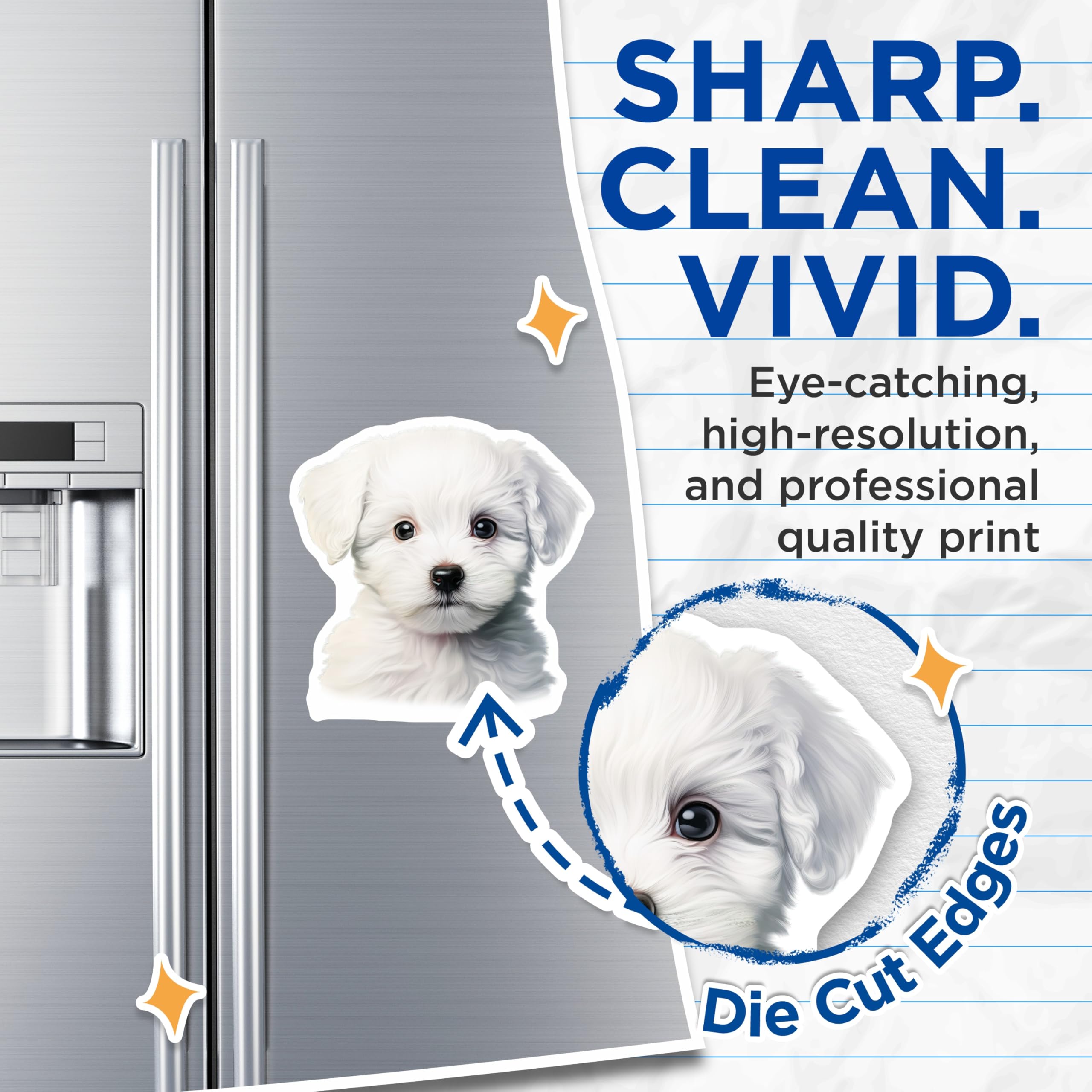 (2 Pack) White Fluffy Puppy Magnets - Cute Dog Lover Fridge Decor - Pet Animal Car Locker Accessory - 5 Inches On Longest Side - Thick Durable Magnet - Made in USA - MAG27714