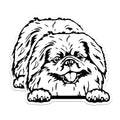 (2 Pack) Dog Magnets - Cute Dog Face Magnets - Puppy Animal Magnet - Home Fridge ation Magnet - 5" On Longest Side - for Cars, Fridges, Toolboxes - Made in USA - MAG4047