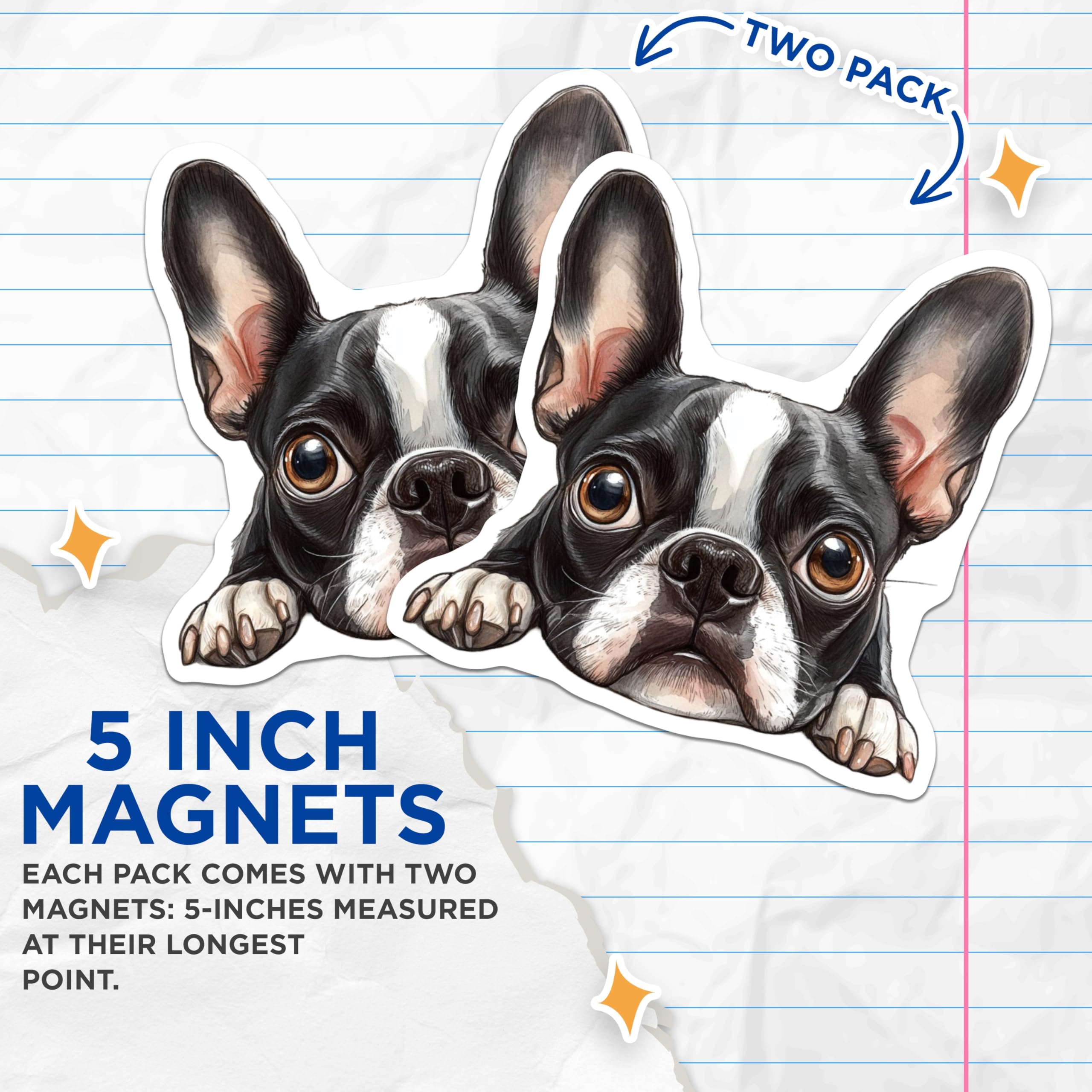 (2 Pack) Boston Terrier Magnets - Cute Dog Fridge Magnets - Pet Lover Decor - 5" On Longest Side - Premium Magnet - for Cars, Refrigerators, Toolboxes, Lockers - Made in USA - MAG16211