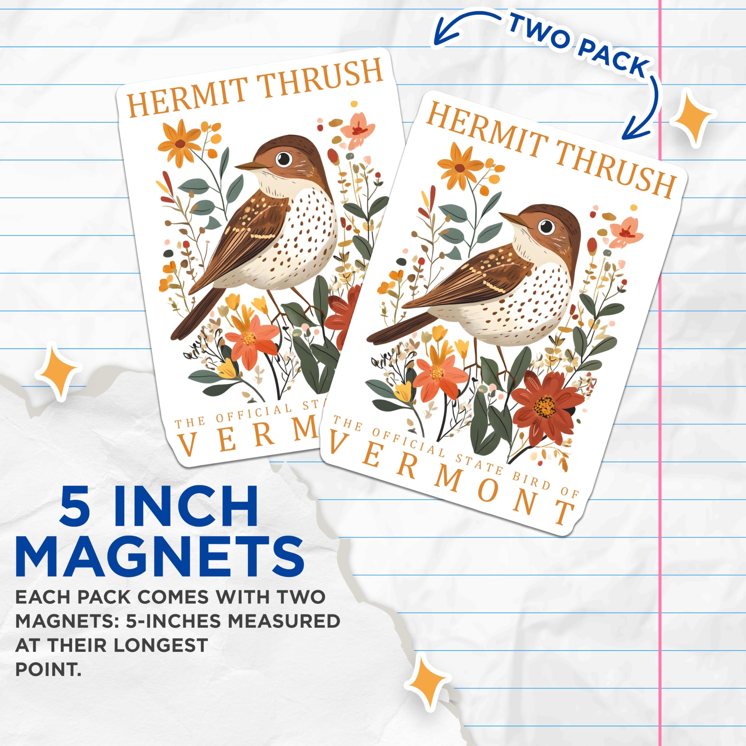 (2 Pack) Hermit Thrush Magnets - Vermont State Bird Decor - Bird Lover Gift Magnet - 5" On Longest Side - Premium Magnet - for Cars, Refrigerators, Toolboxes, Lockers - Made in USA - MAG17281