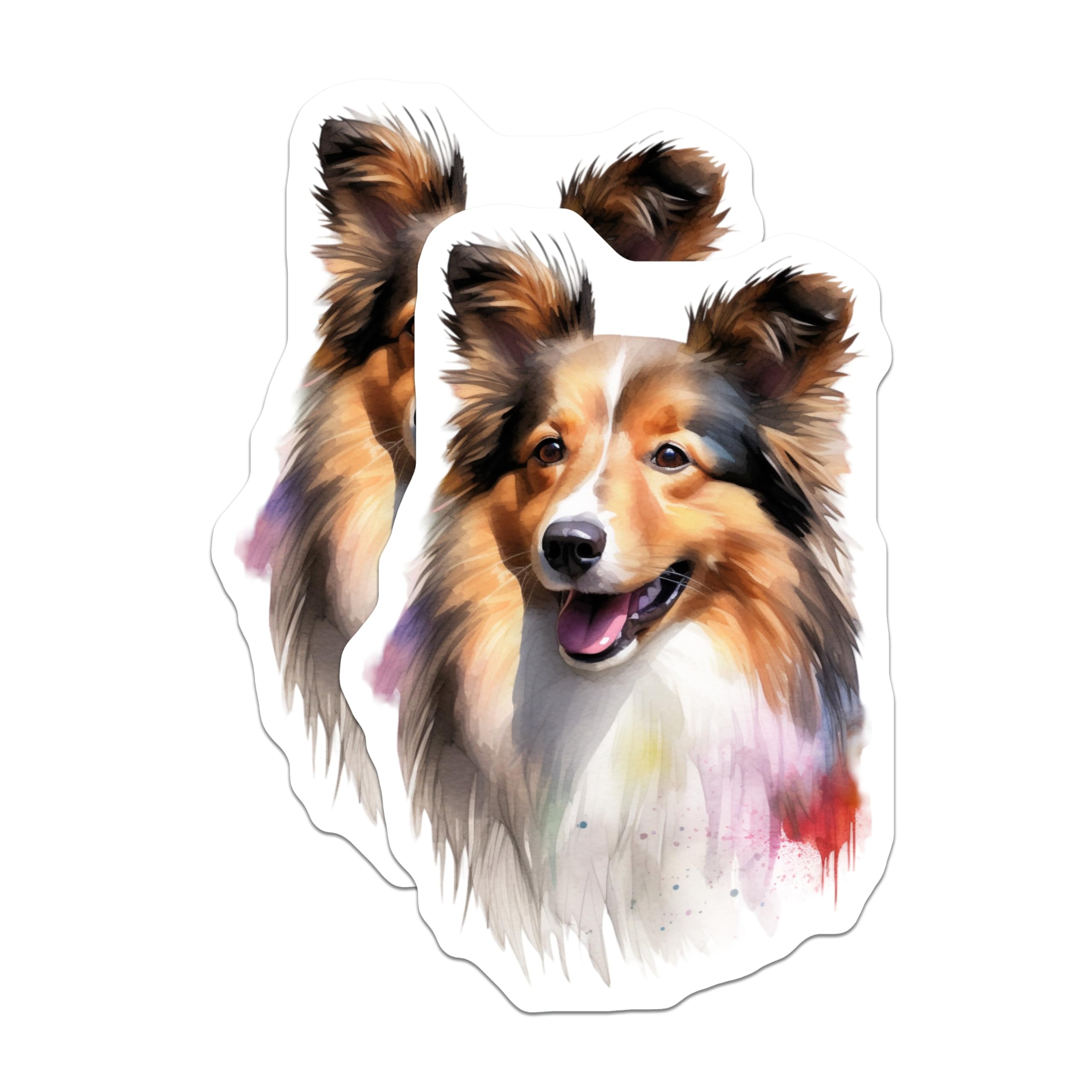 (2 Pack) Sheltie Dog Magnets - Watercolor Shetland Sheepdog Art - Happy Collie Pet Lover Fridge Display - 5 Inches On Longest Side - Thick Durable Magnet - Made in USA - MAG23284