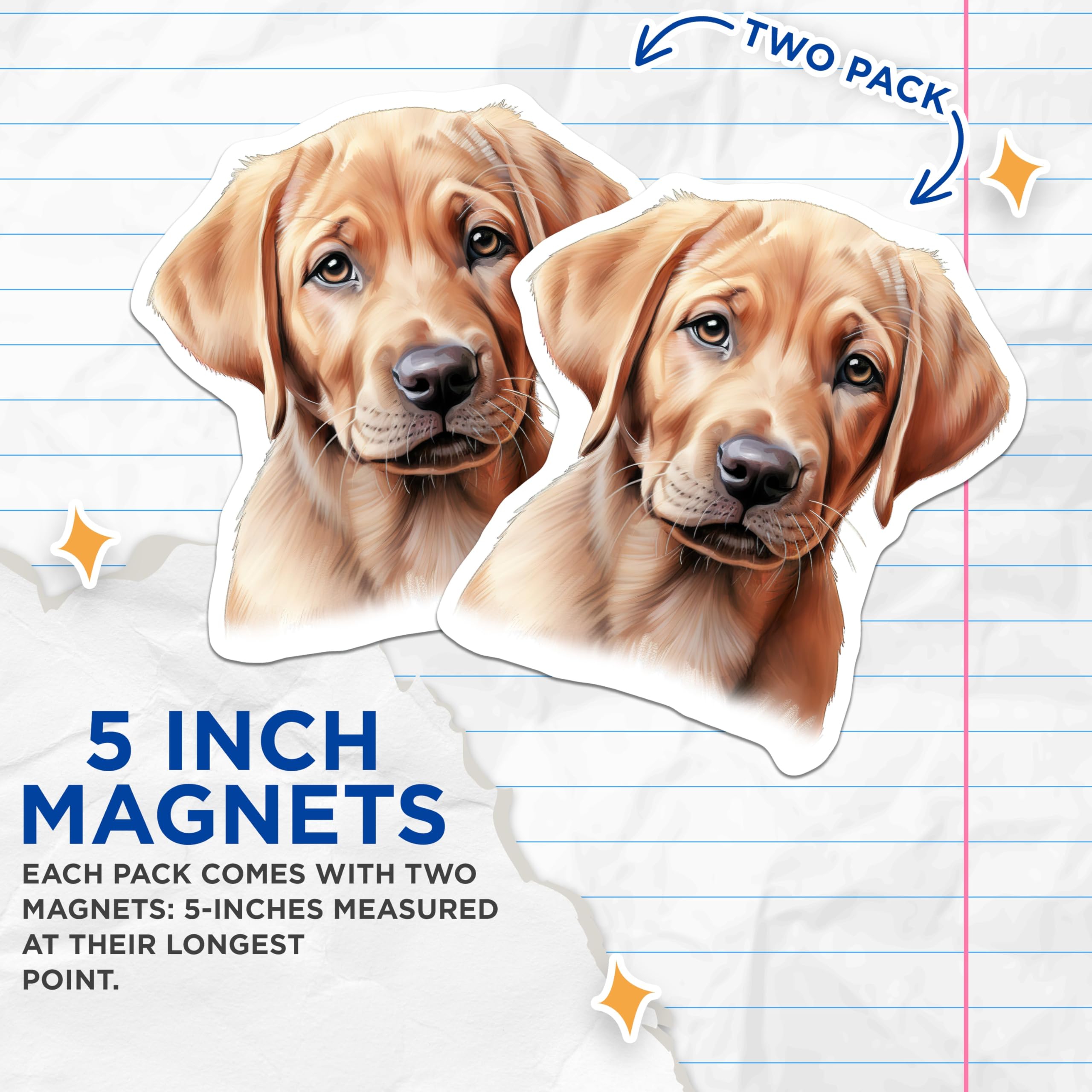 (2 Pack) Golden Retriever Puppy Magnets - Dog Lover Decor - Cute Labrador Fridge Accessory - Pet Owner Home Art - 5 Inches On Longest Side - Thick Durable Magnet - Made in USA - MAG29515