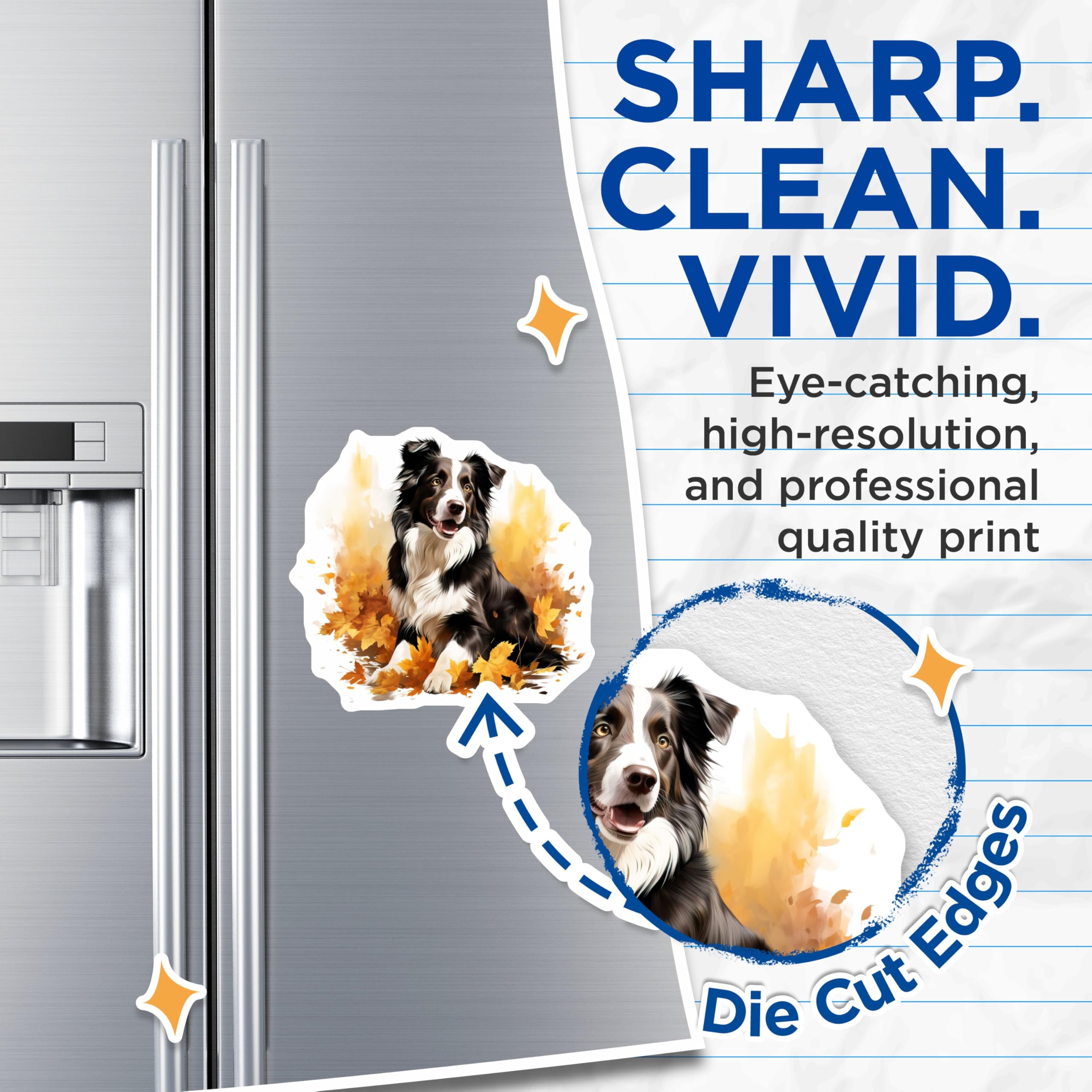 (2 Pack) Border Collie Dog Magnets - Autumn Leaves Decor - Pet Lover Refrigerator Art - 5 Inches On Longest Side - Thick Durable Magnet - Made in USA - MAG27613