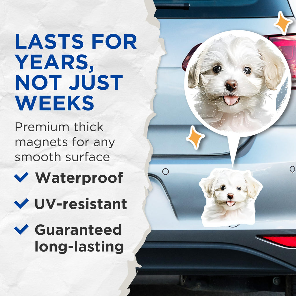 (2 Pack) Maltese Puppy Magnets - Cute Fluffy Dog Lover Decor - Charming Pet Refrigerator Locker Accent - 5 Inches On Longest Side - Thick Durable Magnet - Made in USA - MAG24481